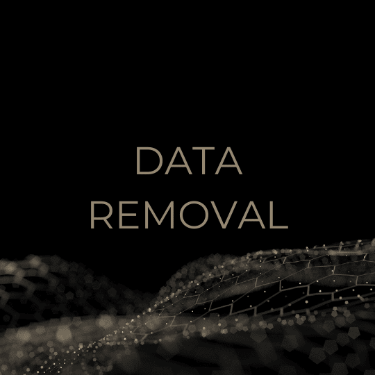 BlackCloak Data Removal with hexagon design overlay