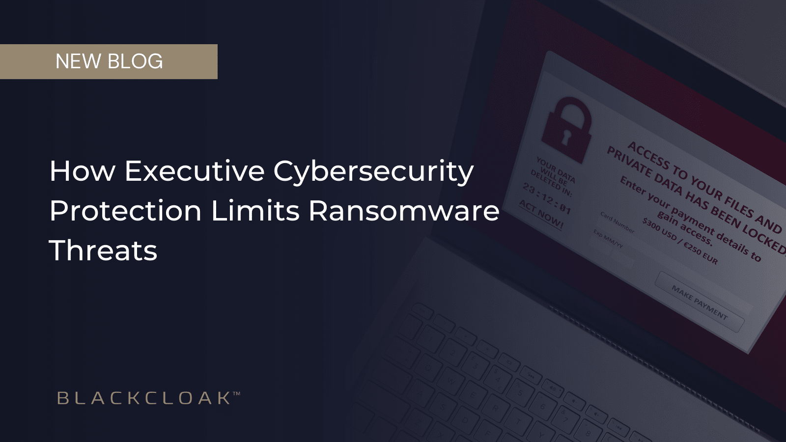 Executive Cybersecurity Limits Business Ransomware Threats.