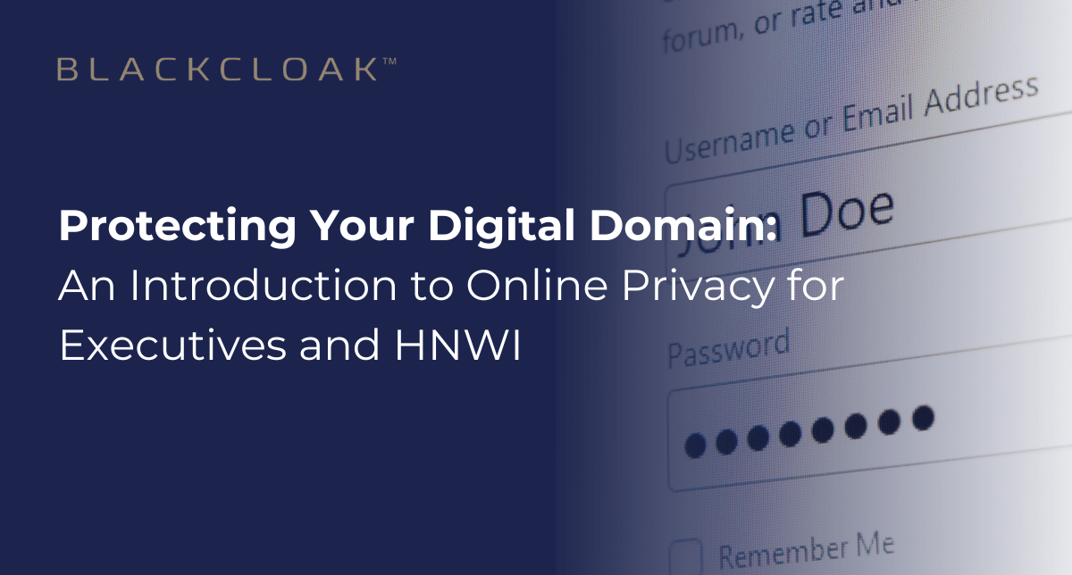 Protecting Your Digital Domain: An introduction to Online Privacy for Executives and HNWI