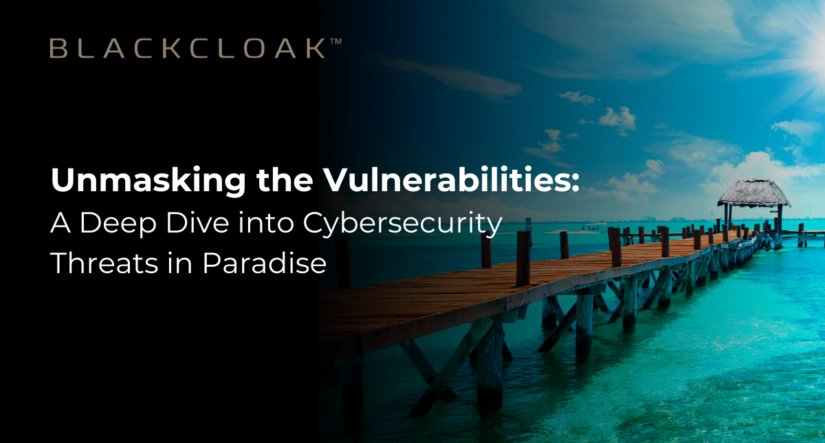 Cybersecurity Vulnerabilities in Paradise Infographic