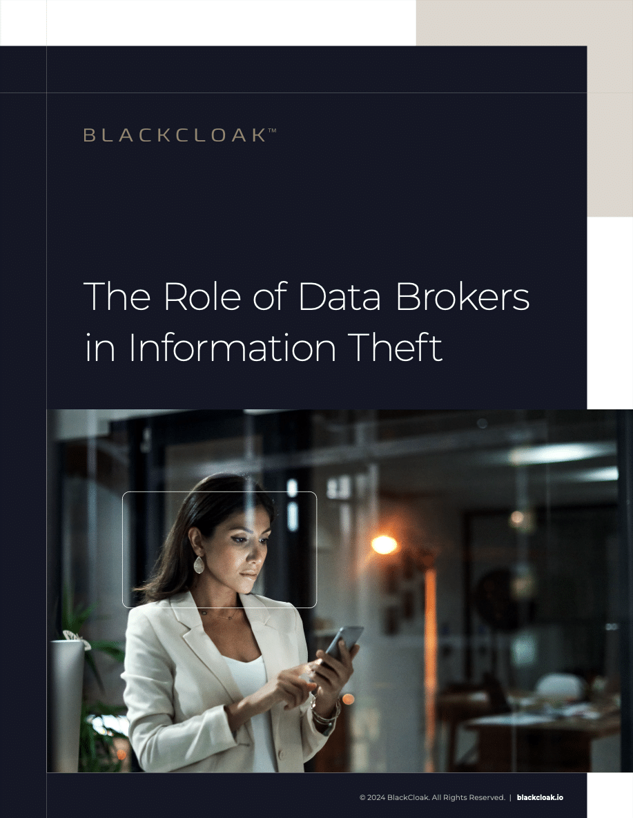 The role of data brokers in information theft