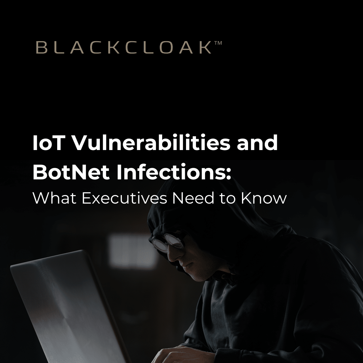 IoT Vulnerabilities and BotNet Infections What Executives Need to Know